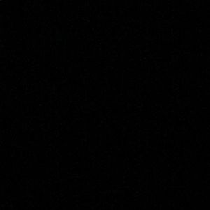 Meet your Posher, Lily